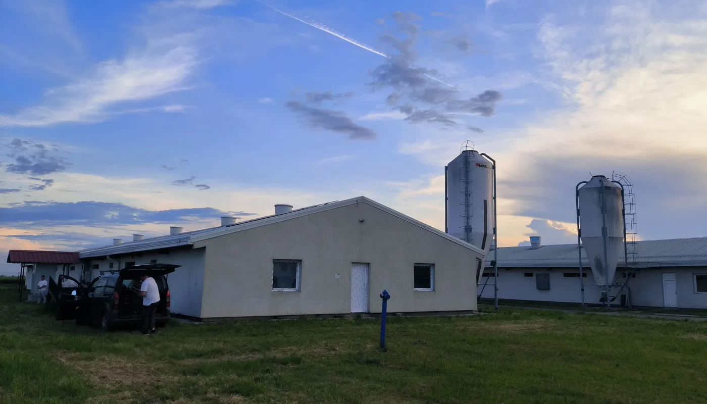 Realizacja - Północno-środkowa Serbia